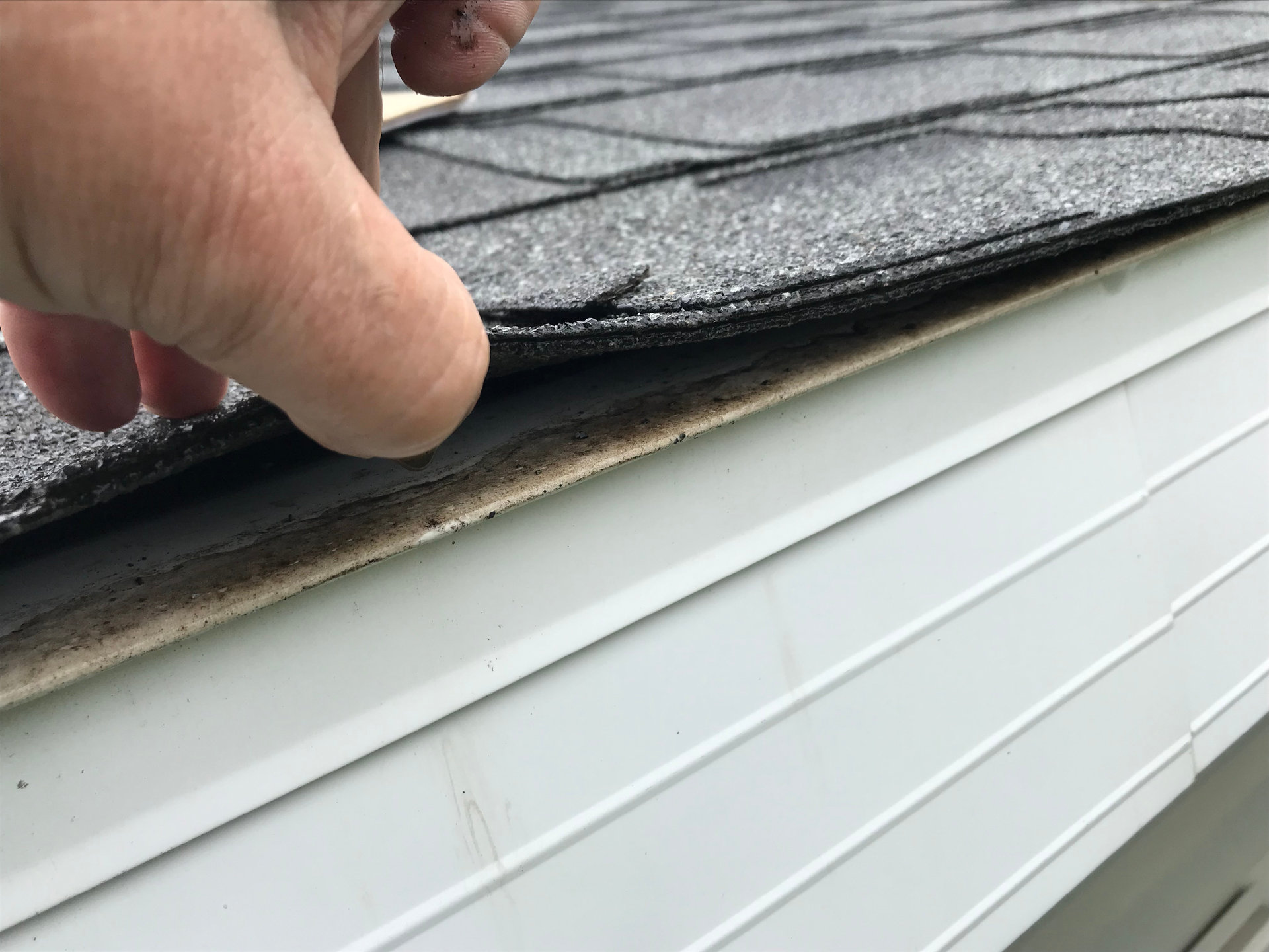 roofer inspecting damaged shingles